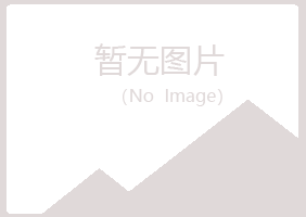 新野县冰夏工程有限公司